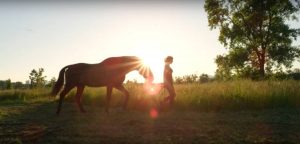 horse