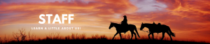 horses