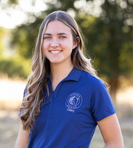 Haley – Auburn-Equine Haley - Auburn-Equine